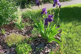 1136 Maryland Ave E, Saint Paul, MN 55106 - Photo 52