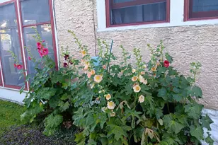 1136 Maryland Ave E, Saint Paul, MN 55106 - Photo 16