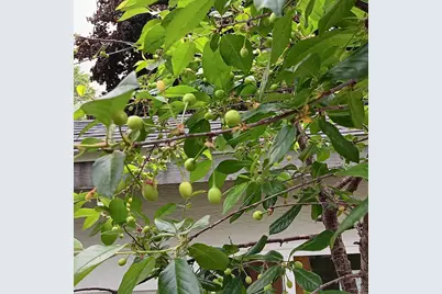 1136 Maryland Avenue E, Saint Paul, MN 55106 - Photo 50