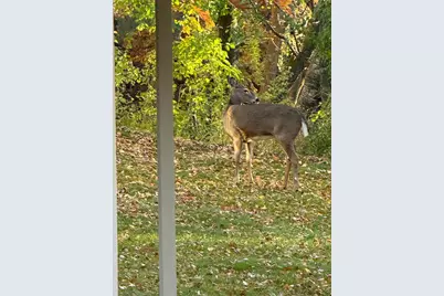 561 Deer Ridge Lane S, Maplewood, MN 55119 - Photo 44