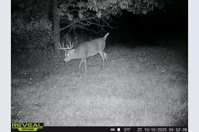 3231 Highway 65, Mora, MN 55051 - Photo 48