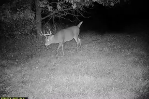 3231 Hwy 65, Mora, MN 55051 - Photo 48