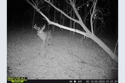 3231 Highway 65, Mora, MN 55051 - Photo 58