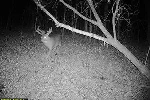 3231 Hwy 65, Mora, MN 55051 - Photo 58