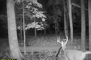 3231 Hwy 65, Mora, MN 55051 - Photo 80