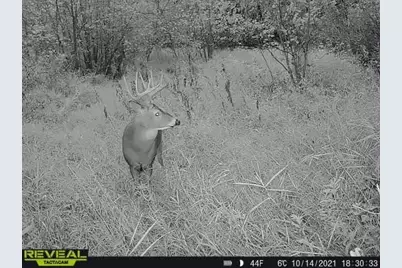 3231 Highway 65, Mora, MN 55051 - Photo 68