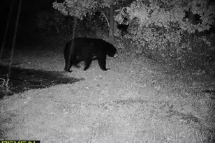 3231 Hwy 65, Mora, MN 55051 - Photo 74