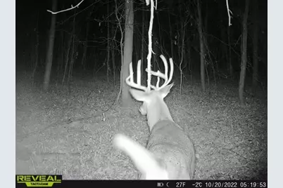 3231 Highway 65, Mora, MN 55051 - Photo 60