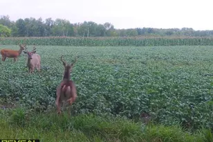 3231 Hwy 65, Mora, MN 55051 - Photo 68