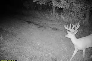 3231 Hwy 65, Mora, MN 55051 - Photo 78