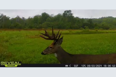 3231 Highway 65, Mora, MN 55051 - Photo 64