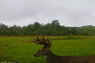 3231 Hwy 65, Mora, MN 55051 - Photo 64