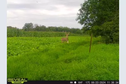 3231 Highway 65, Mora, MN 55051 - Photo 70