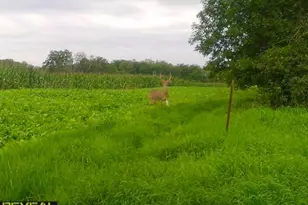 3231 Hwy 65, Mora, MN 55051 - Photo 70