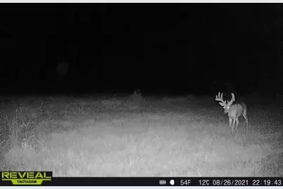 3231 Highway 65, Mora, MN 55051 - Photo 66