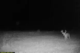 3231 Hwy 65, Mora, MN 55051 - Photo 66