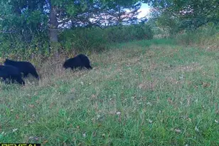 3231 Hwy 65, Mora, MN 55051 - Photo 52