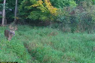 3231 Hwy 65, Mora, MN 55051 - Photo 56