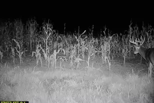 3231 Hwy 65, Mora, MN 55051 - Photo 76