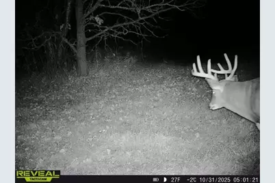 3231 Highway 65, Mora, MN 55051 - Photo 54