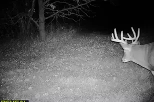 3231 Hwy 65, Mora, MN 55051 - Photo 54