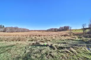 31356 315th Ave, Browerville, MN 56438 - Photo 42