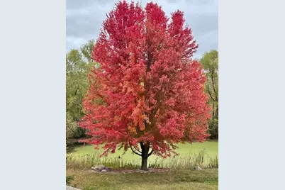 16778 Hudson Circle, Lakeville, MN 55044 - Photo 56