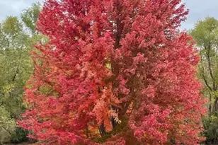 16778 Hudson Cir, Lakeville, MN 55044 - Photo 56