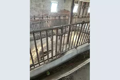 10422 401st Avenue Avenue, Mabel, MN 55954 - Photo 6