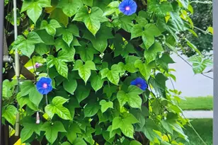 66 Meadowlark Dr, Hudson, WI 54016 - Photo 2