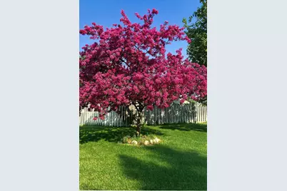 6710 115 1/2 Avenue N, Champlin, MN 55316 - Photo 26