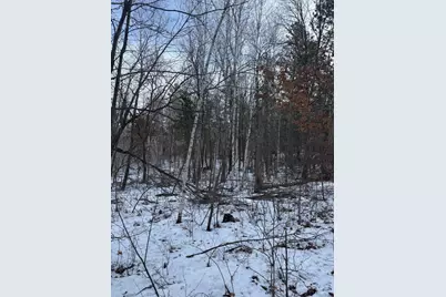 Tbd Aztec Road, Motley, MN 56466 - Photo 12