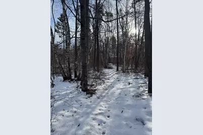 Tbd Aztec Road, Motley, MN 56466 - Photo 16