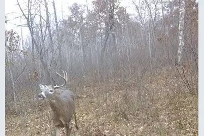 Tbd Aztec Road, Motley, MN 56466 - Photo 22