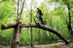 10937 37th St N, Lake Elmo, MN 55042 - Photo 64