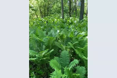 20011 Nevada Avenue, Prior Lake, MN 55372 - Photo 8