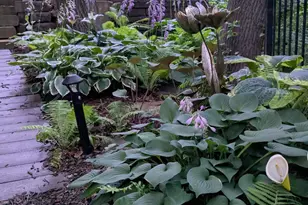 8116 Clifford Cir, Inver Grove Heights, MN 55076 - Photo 44