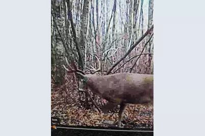 43704 County Highway 61, Hinckley, MN 55037 - Photo 40