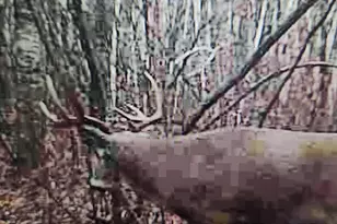 43704 Co Hwy 61, Hinckley, MN 55037 - Photo 40