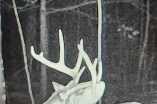 43704 Co Hwy 61, Hinckley, MN 55037 - Photo 42