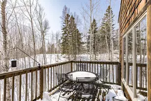 67 Snowshoe Trail, Tofte Township, MN 55615 - Photo 2