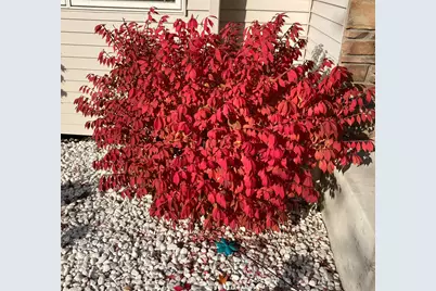 6624 145th Circle N, Hugo, MN 55038 - Photo 40