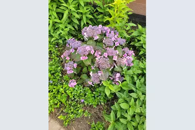 2215 Saint Anthony Parkway, Minneapolis, MN 55418 - Photo 76