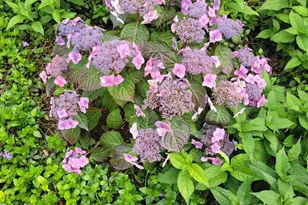 2215 St Anthony Pkwy, Minneapolis, MN 55418 - Photo 76