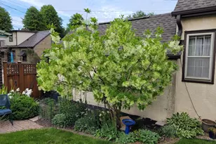 2215 St Anthony Pkwy, Minneapolis, MN 55418 - Photo 62