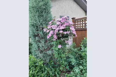 2215 Saint Anthony Parkway, Minneapolis, MN 55418 - Photo 66