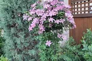 2215 St Anthony Pkwy, Minneapolis, MN 55418 - Photo 66