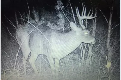 27924 Marget Lake Road NW, Isanti, MN 55040 - Photo 26