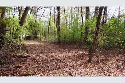 Tbdx 165th Avenue SE, Santiago Township, MN 55319 - Photo 14