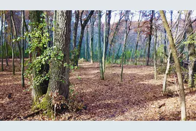 Tbdx 165th Avenue SE, Santiago Township, MN 55319 - Photo 12